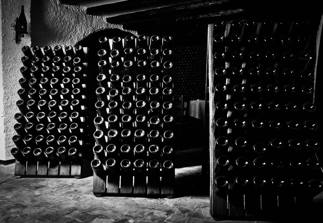 Nuestra Vinoteca: Catálogo de El Celler de Aiguaviva Nuestra Vinoteca: Catálogo de El Celler de Aiguaviva
