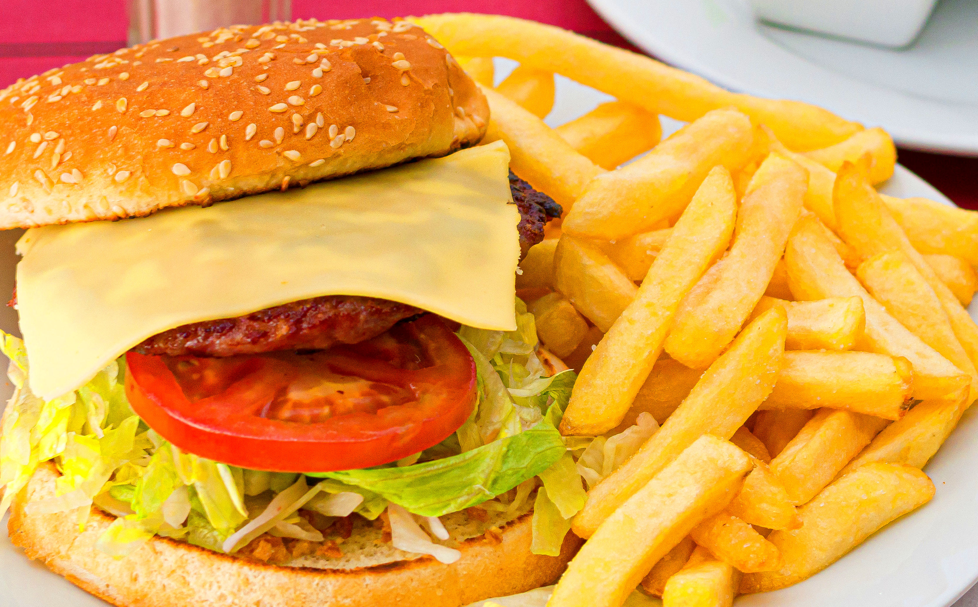 HAMBURGUESAS HAMBURGUESAS