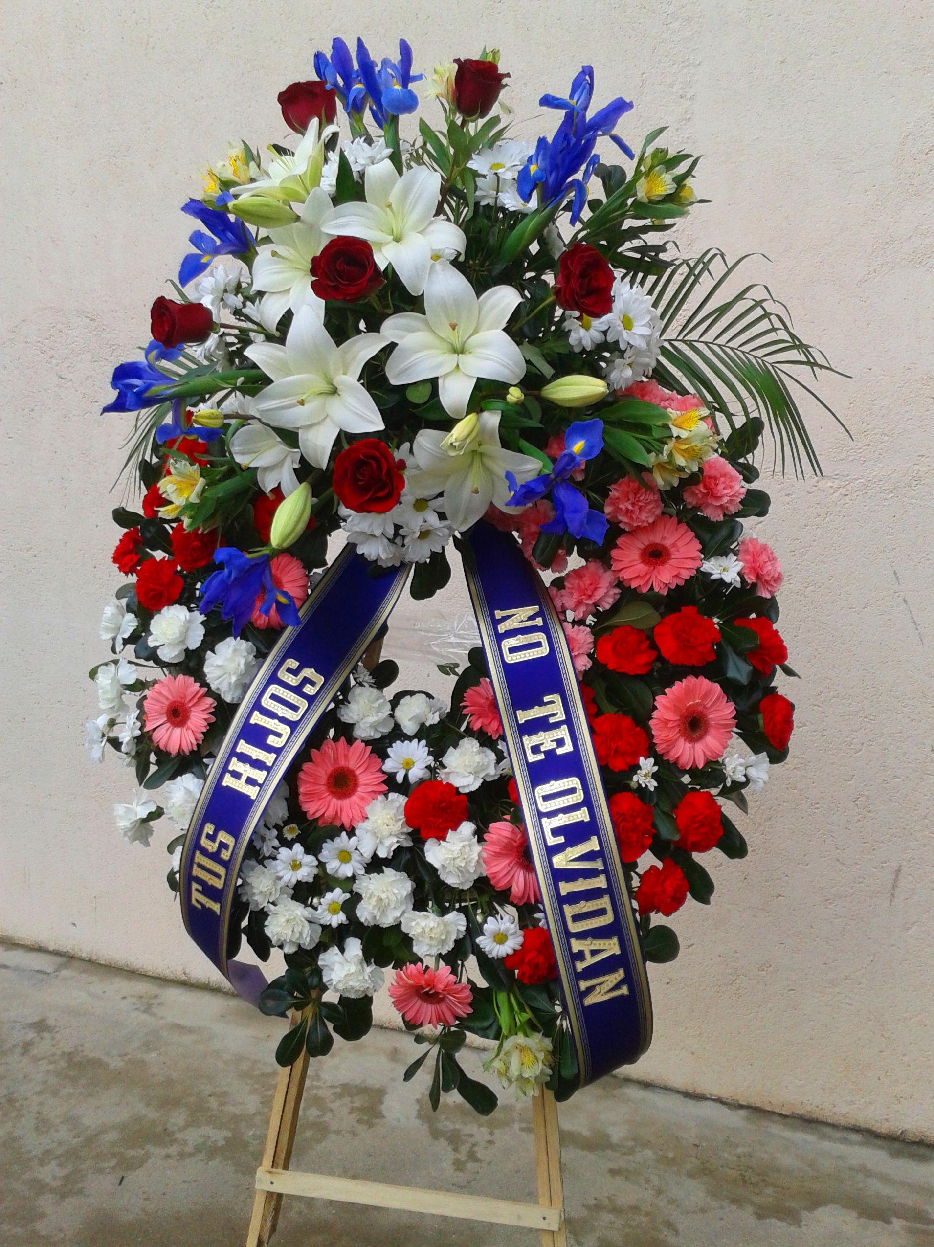 CORONA CORONA