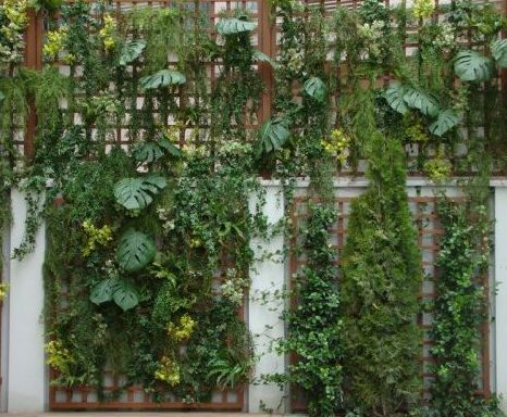 Jardín vertical para exterior de edificio