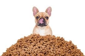 Alimentación: Servicios de Valla Mascotas Alimentación: Servicios de Valla Mascotas