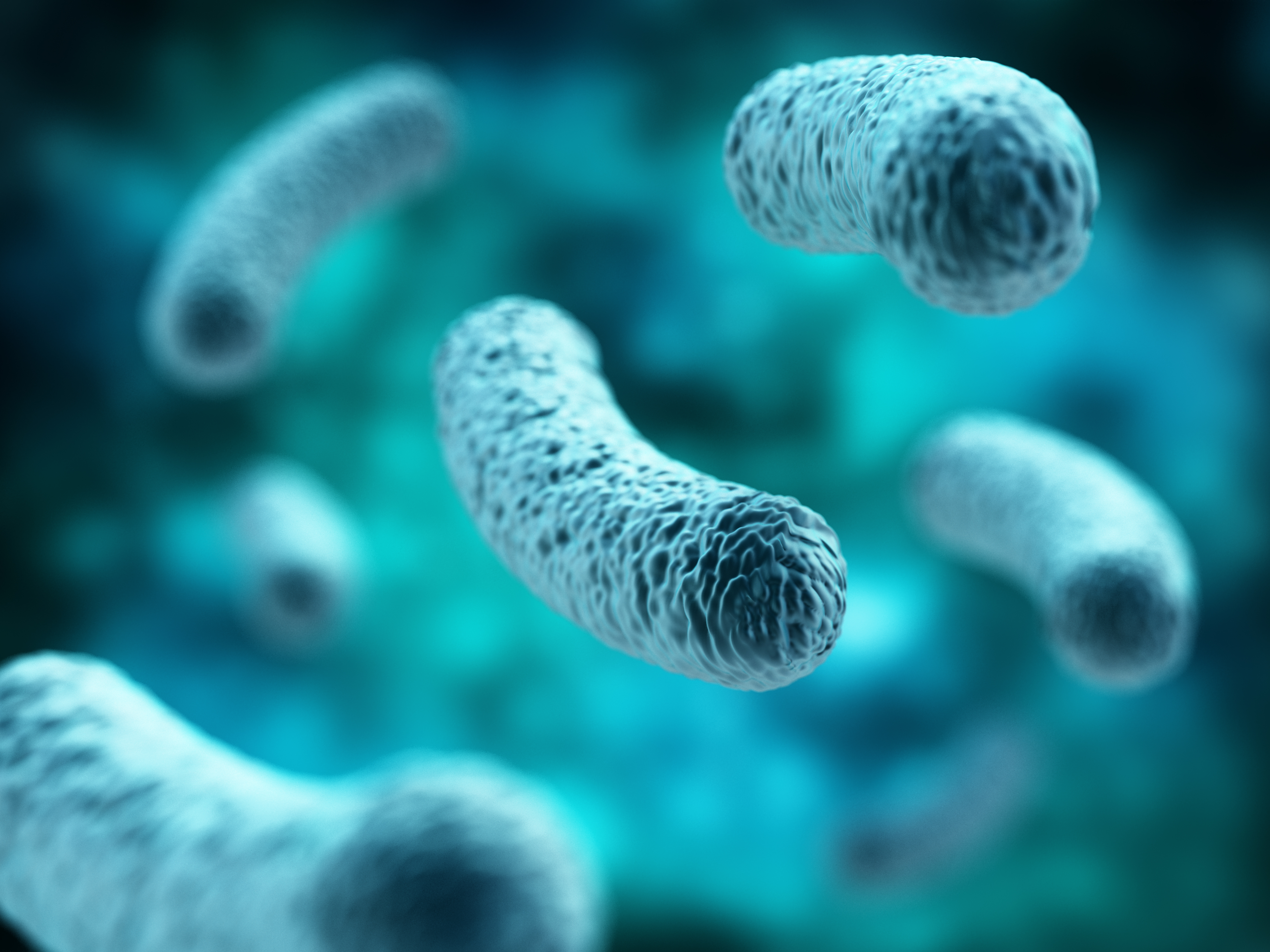 SOBRECRECIMIENTO BACTERIANO: Ofrecemos de Laboratorios Ruiz-Falcó SOBRECRECIMIENTO BACTERIANO: Ofrecemos de Laboratorios Ruiz-Falcó