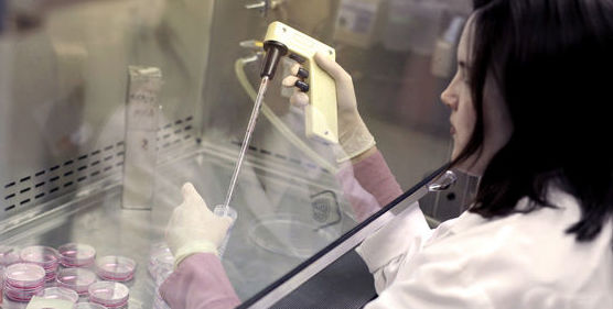ESTUDIO DE COAGULACIÓN: Ofrecemos de Laboratorios Ruiz-Falcó ESTUDIO DE COAGULACIÓN: Ofrecemos de Laboratorios Ruiz-Falcó
