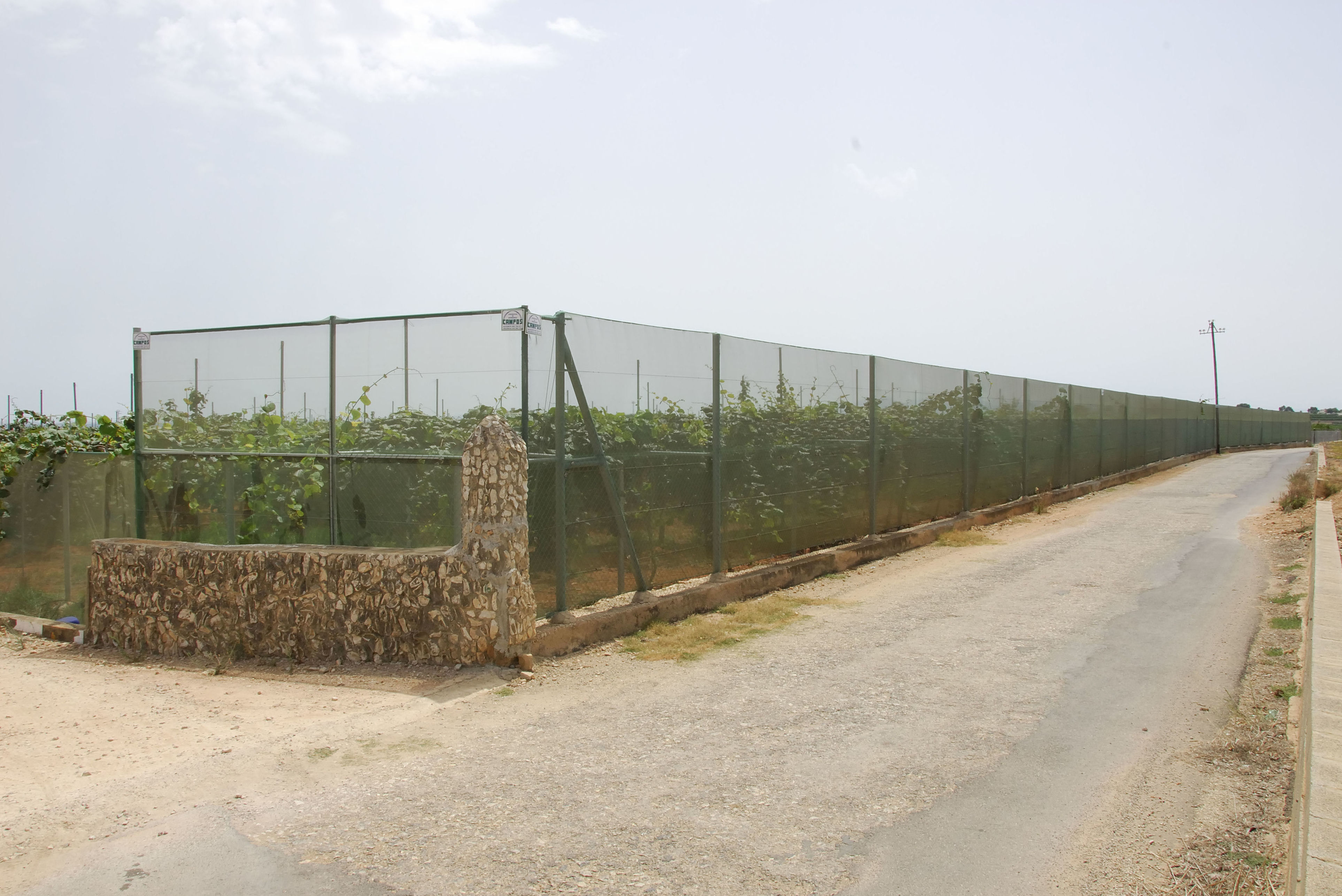Cerramientos para pistas de Padel: Invernaderos de Invernaderos Campos Cerramientos para pistas de Padel: Invernaderos de Invernaderos Campos