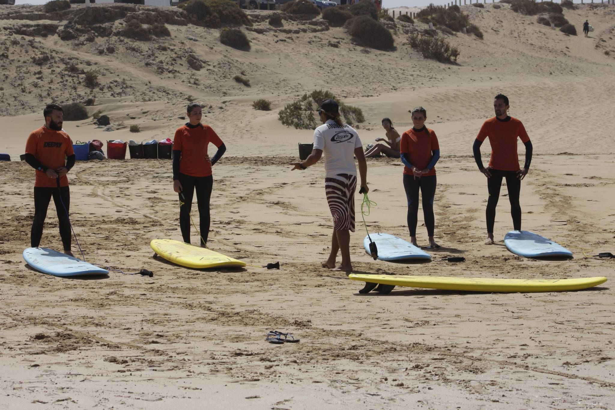 Alquiler de material: Servicios de Shock Wave Surf School Alquiler de material: Servicios de Shock Wave Surf School