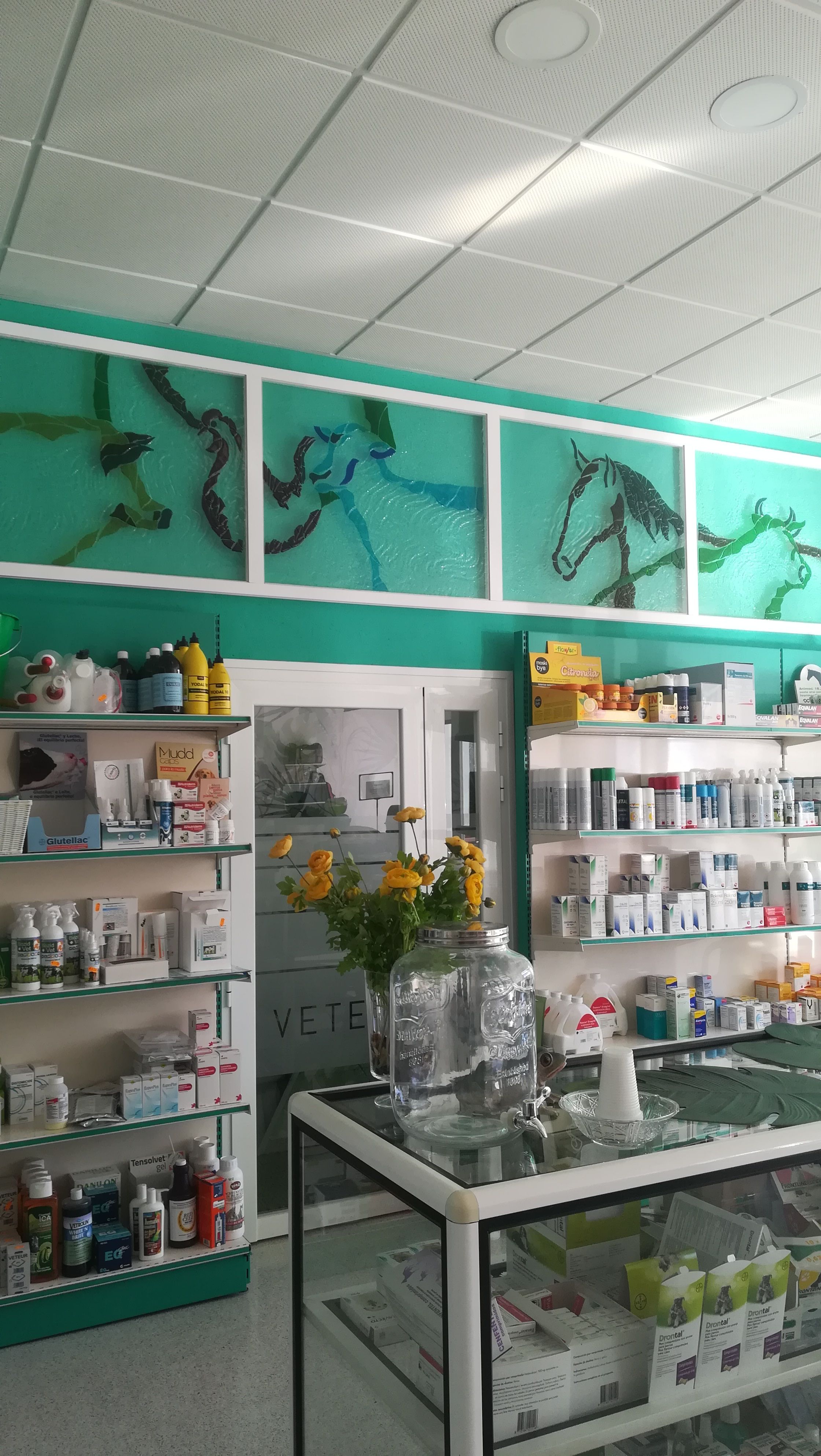 Material veterinarios y ganaderos: Productos y servicios de Vetex Material veterinarios y ganaderos: Productos y servicios de Vetex