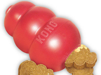 Juguetes Kong: Servicios Veterinarios de Huellas Clínica Veterinaria Juguetes Kong: Servicios Veterinarios de Huellas Clínica Veterinaria