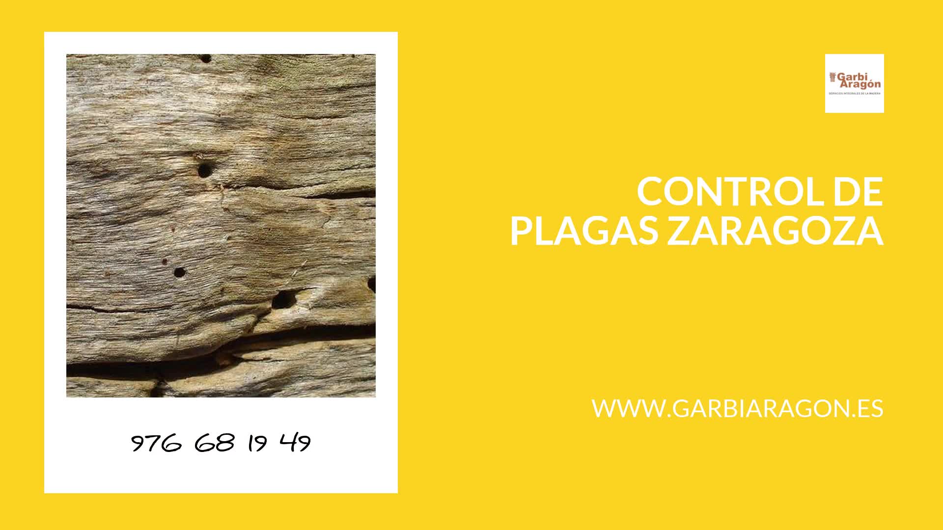 tratamientos carcoma Zaragoza archivos - Ambiente Cero-Control de Plagas  Zaragoza