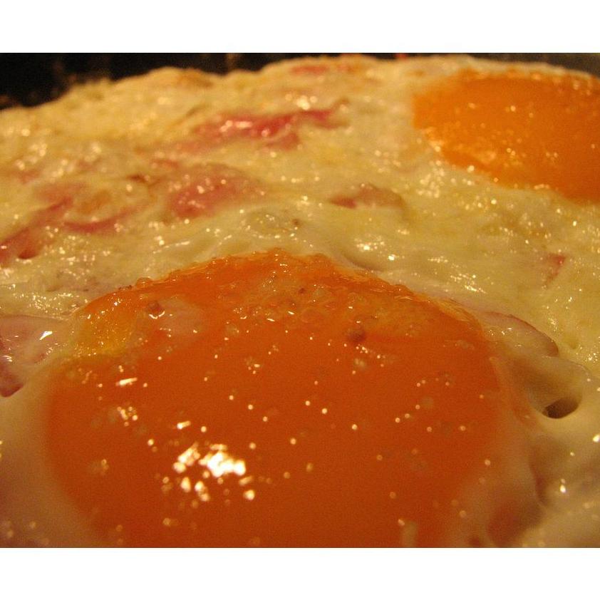 Los Huevos y Revueltos : Instalaciones y Servicios de Restaurante - Hotel de Carretera El Oasis** Los Huevos y Revueltos : Instalaciones y Servicios de Restaurante - Hotel de Carretera El Oasis**