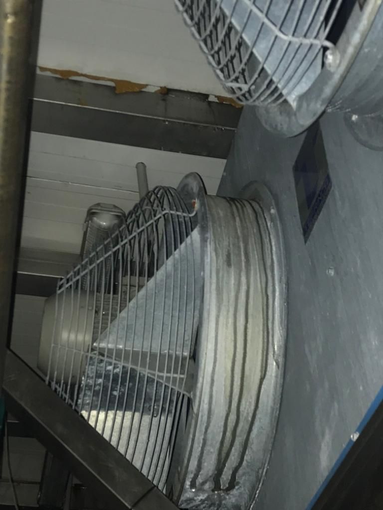 Túnel de congelado lineal compacto: de MAQUIMUR Túnel de congelado lineal compacto: de MAQUIMUR