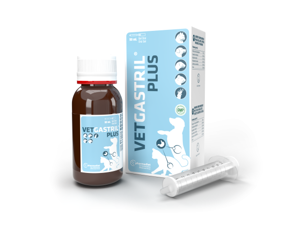 Vetgastril plus: Nuestros productos de Pienso Express Vetgastril plus: Nuestros productos de Pienso Express