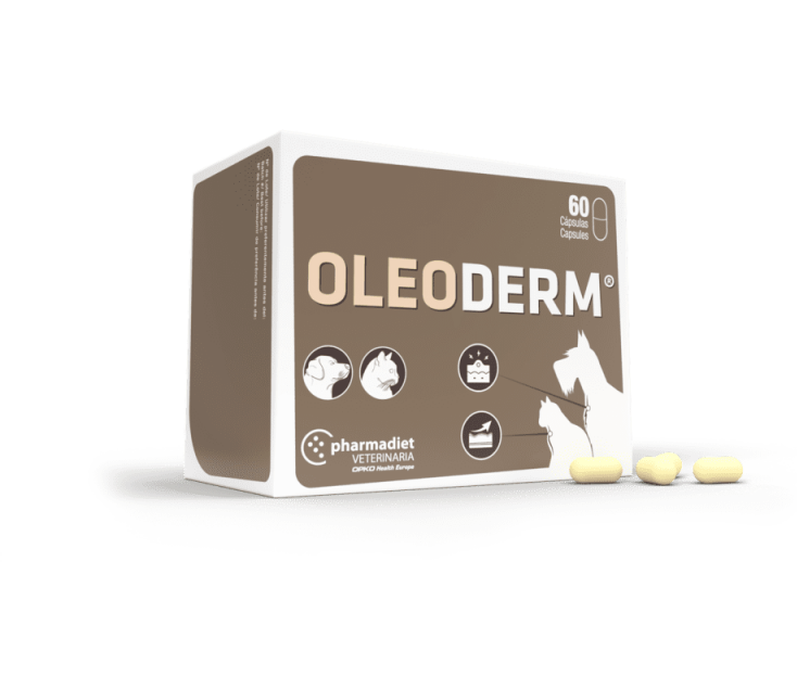 Oleoderm 60 cápsulas: Nuestros productos de Pienso Express Oleoderm 60 cápsulas: Nuestros productos de Pienso Express