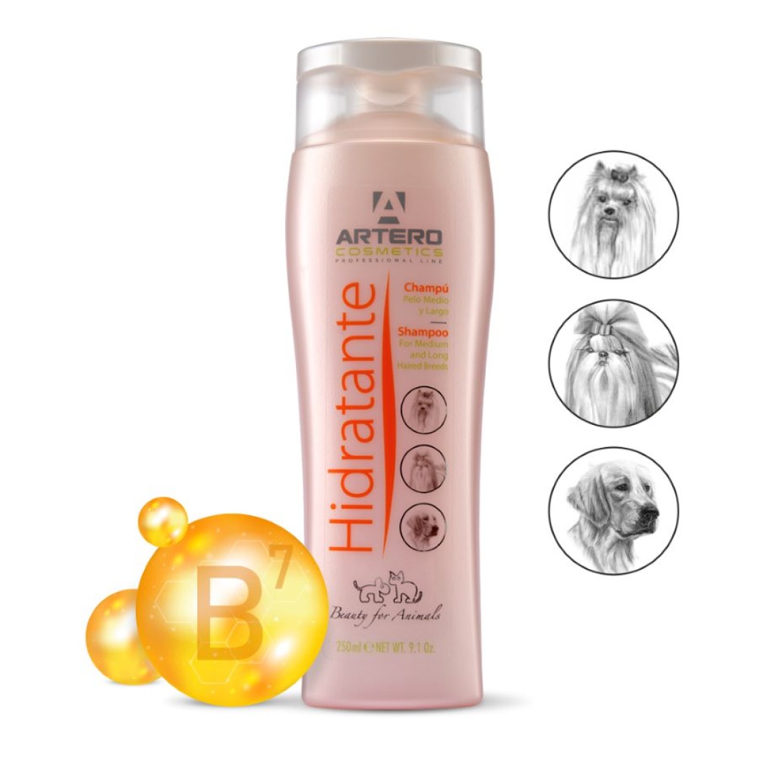 Champú Hidratante Artero 250ml: Nuestros productos de Pienso Express Champú Hidratante Artero 250ml: Nuestros productos de Pienso Express