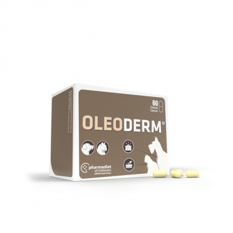 Oleoderm 60 cápsulas: Nuestros productos de Pienso Express Oleoderm 60 cápsulas: Nuestros productos de Pienso Express