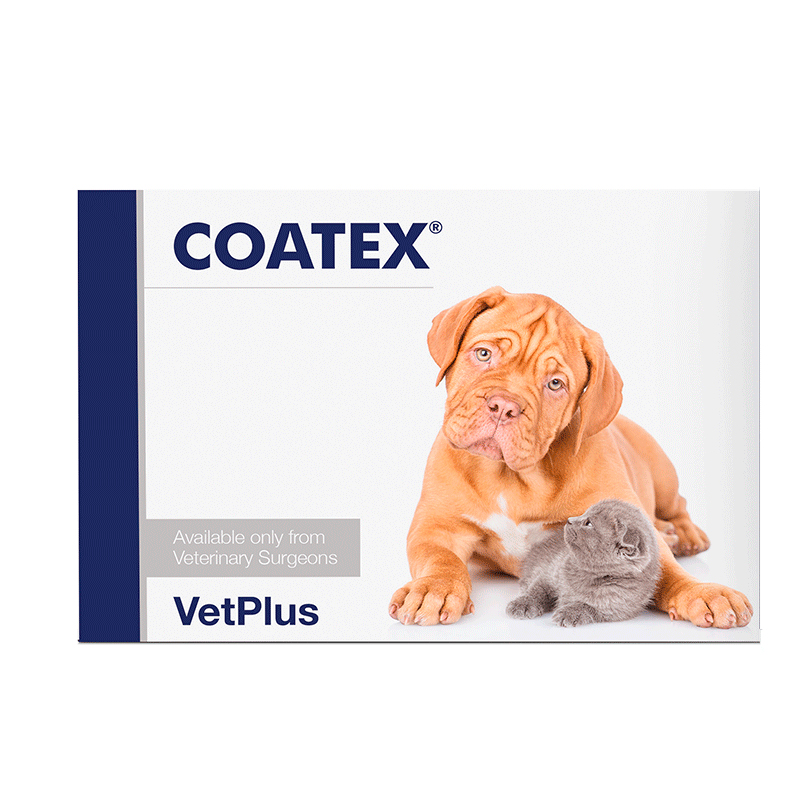 Coatex Cápsulas: Nuestros productos de Pienso Express Coatex Cápsulas: Nuestros productos de Pienso Express
