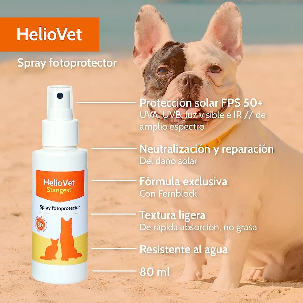 Spray Protector solar: Nuestros productos de Pienso Express Spray Protector solar: Nuestros productos de Pienso Express