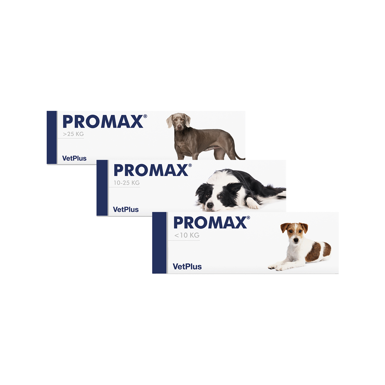 Promax: Nuestros productos de Pienso Express Promax: Nuestros productos de Pienso Express