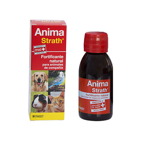 Anima strah fortificante natural Stangest Pienso Express Anima strah fortificante natural Stangest Pienso Express