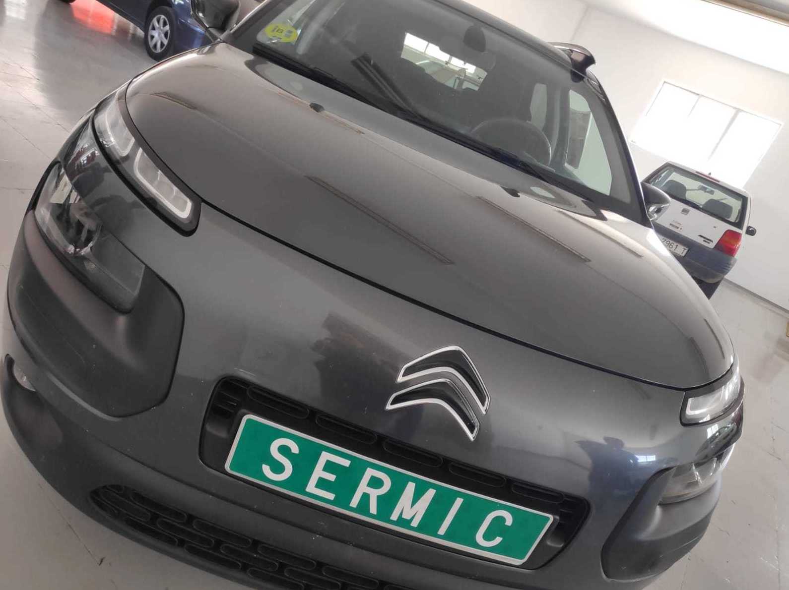 C4 CACTUS C4 CACTUS