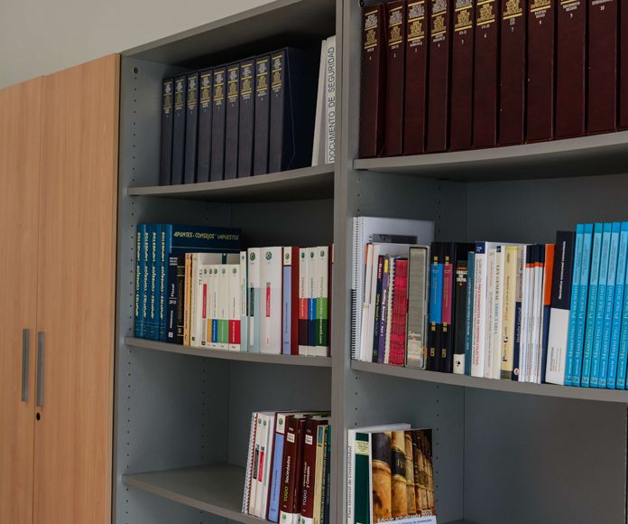 Solicitud de Subvenciones : Asesoramiento de Asesoría La Rosaleda Solicitud de Subvenciones : Asesoramiento de Asesoría La Rosaleda