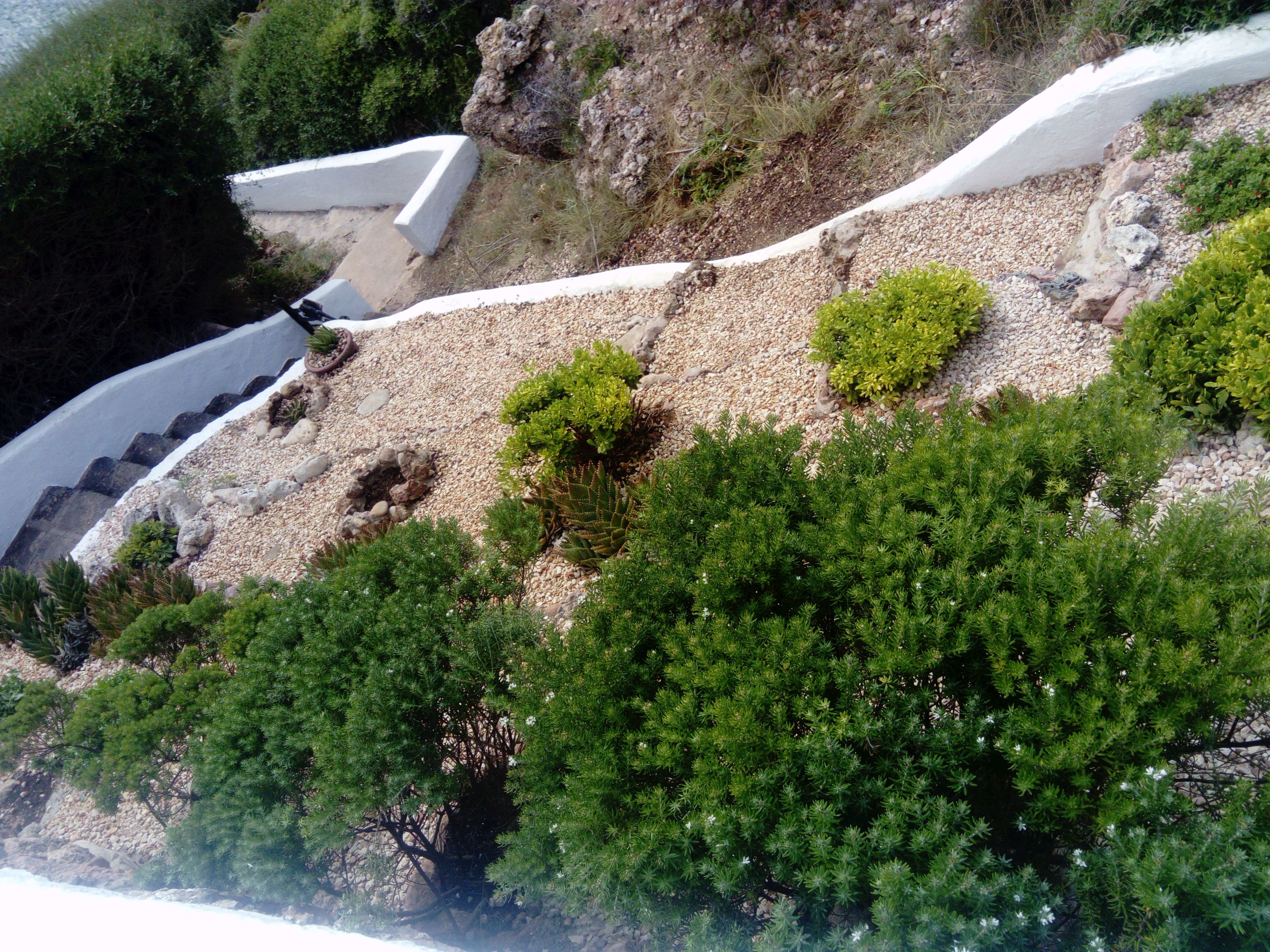 Jardin: Servicios profesionales de Lluis Saurina Reformas Integrales Jardin: Servicios profesionales de Lluis Saurina Reformas Integrales