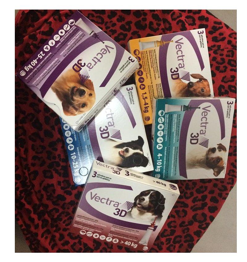 Antiparasitarios: Productos de Centro Veterinario Mazarredo Antiparasitarios: Productos de Centro Veterinario Mazarredo