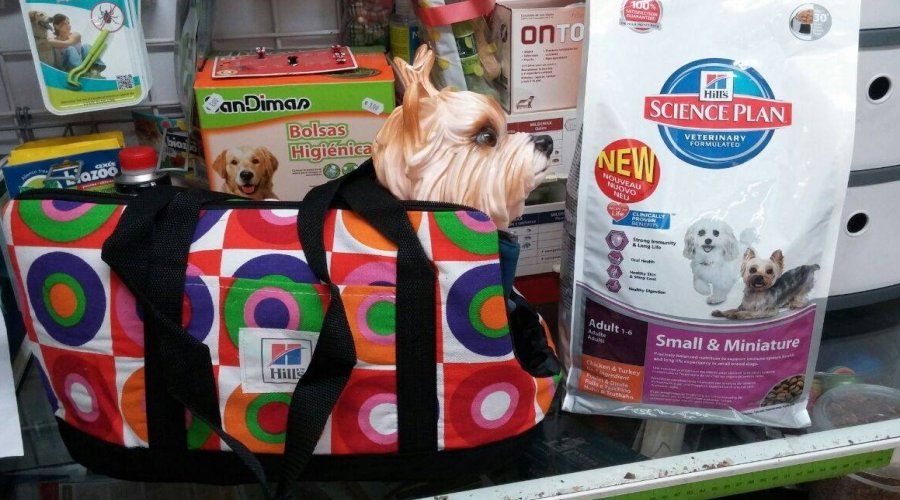 Accesorios para mascotas: Productos de Centro Veterinario Mazarredo Accesorios para mascotas: Productos de Centro Veterinario Mazarredo