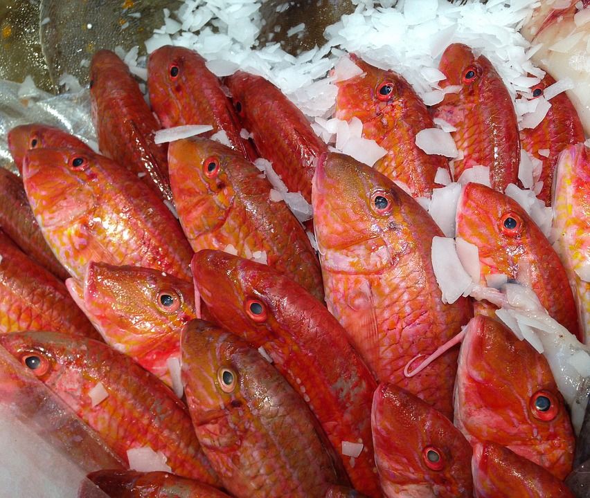 Servicio a domicilio: Pescadería de Peixeteria ENRIQUETA Servicio a domicilio: Pescadería de Peixeteria ENRIQUETA