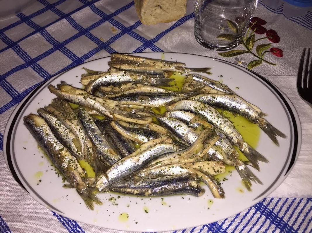 Foto 24 de Cocina tradicional en Eibar | Restaurante Tiro  Pichón