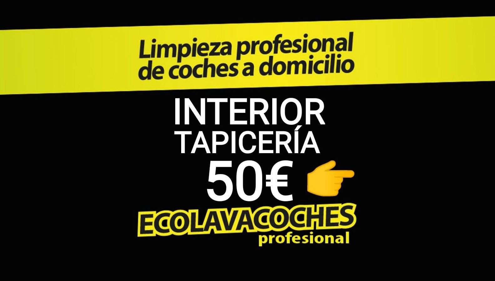 ECOLAVACOCHES PROFESIONAL ECOLAVACOCHES PROFESIONAL