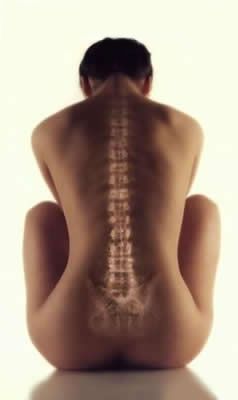 Osteopatia Fisiomas Murcia Osteopatia Fisiomas Murcia