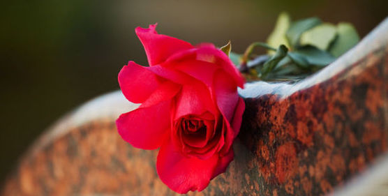 Arreglos funerarios: Catálogo de Floristería El Pinillo la Azucena Arreglos funerarios: Catálogo de Floristería El Pinillo la Azucena