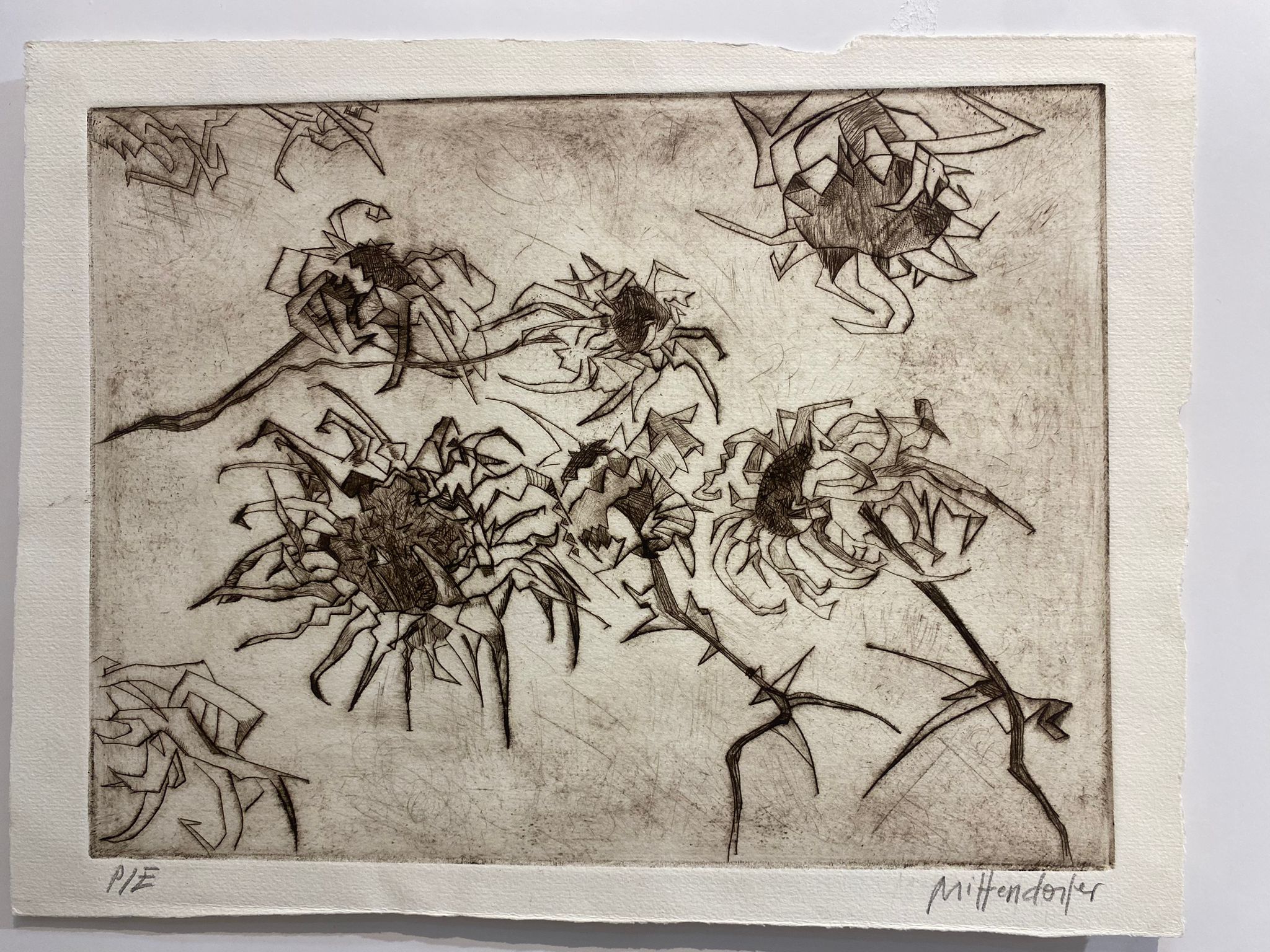 Mónica Mittendorfer: Productos de Cano 1907 Mónica Mittendorfer: Productos de Cano 1907