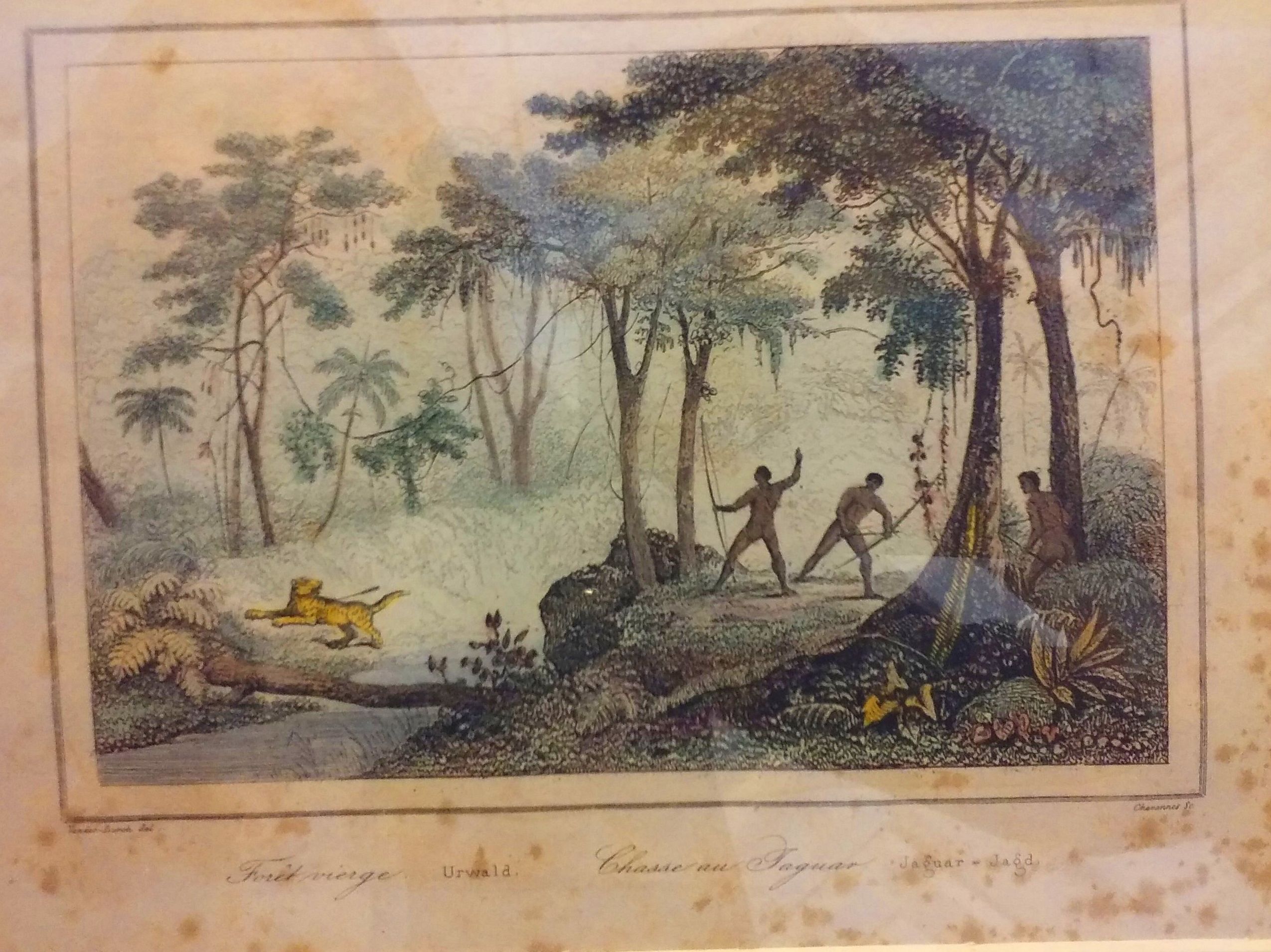 GRABADOS Y LITOGRAFIAS ANTIGUAS SXIX: Productos de Cano 1907