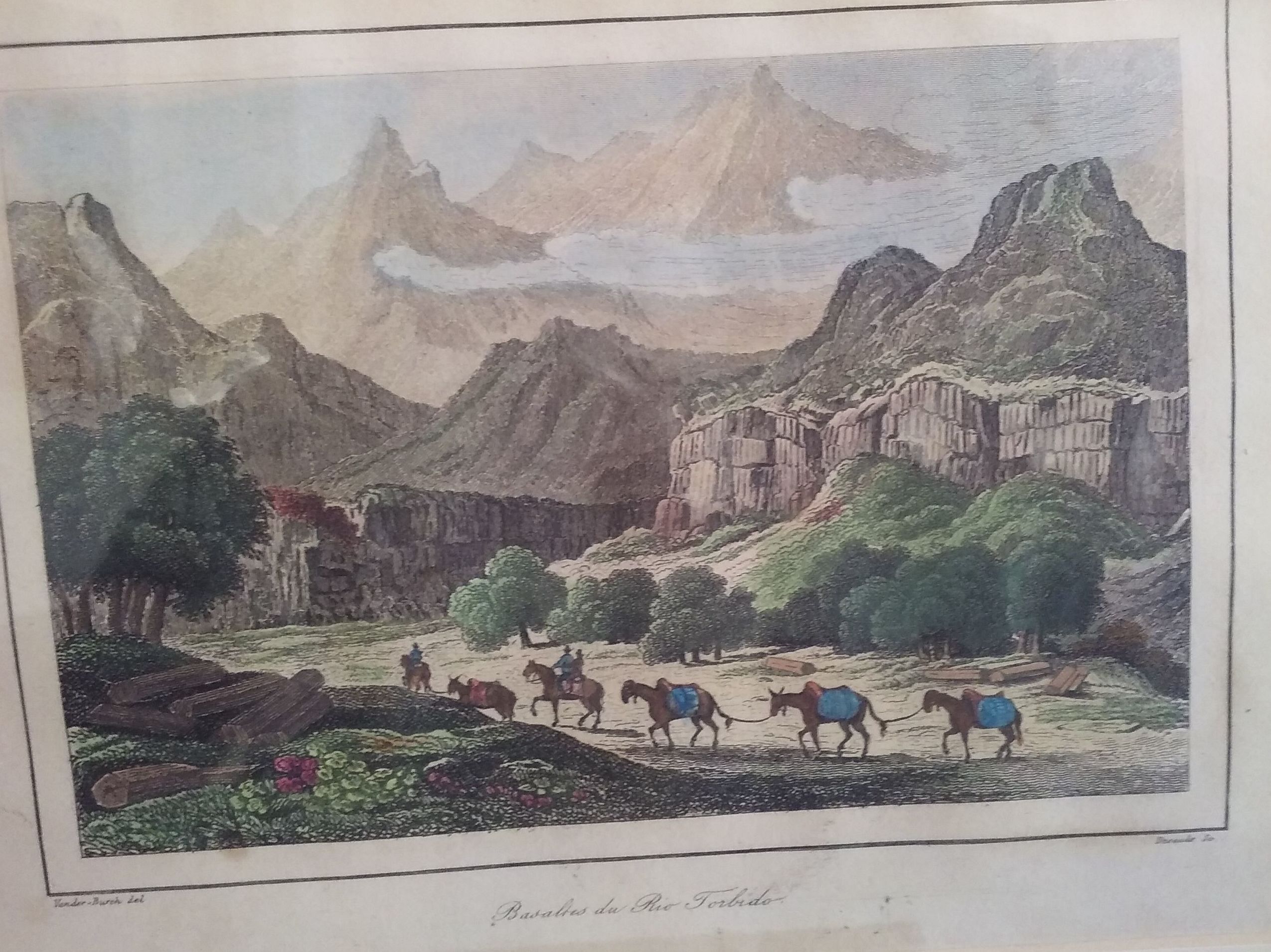 GRABADOS Y LITOGRAFIAS ANTIGUAS SXIX: Productos de Cano 1907