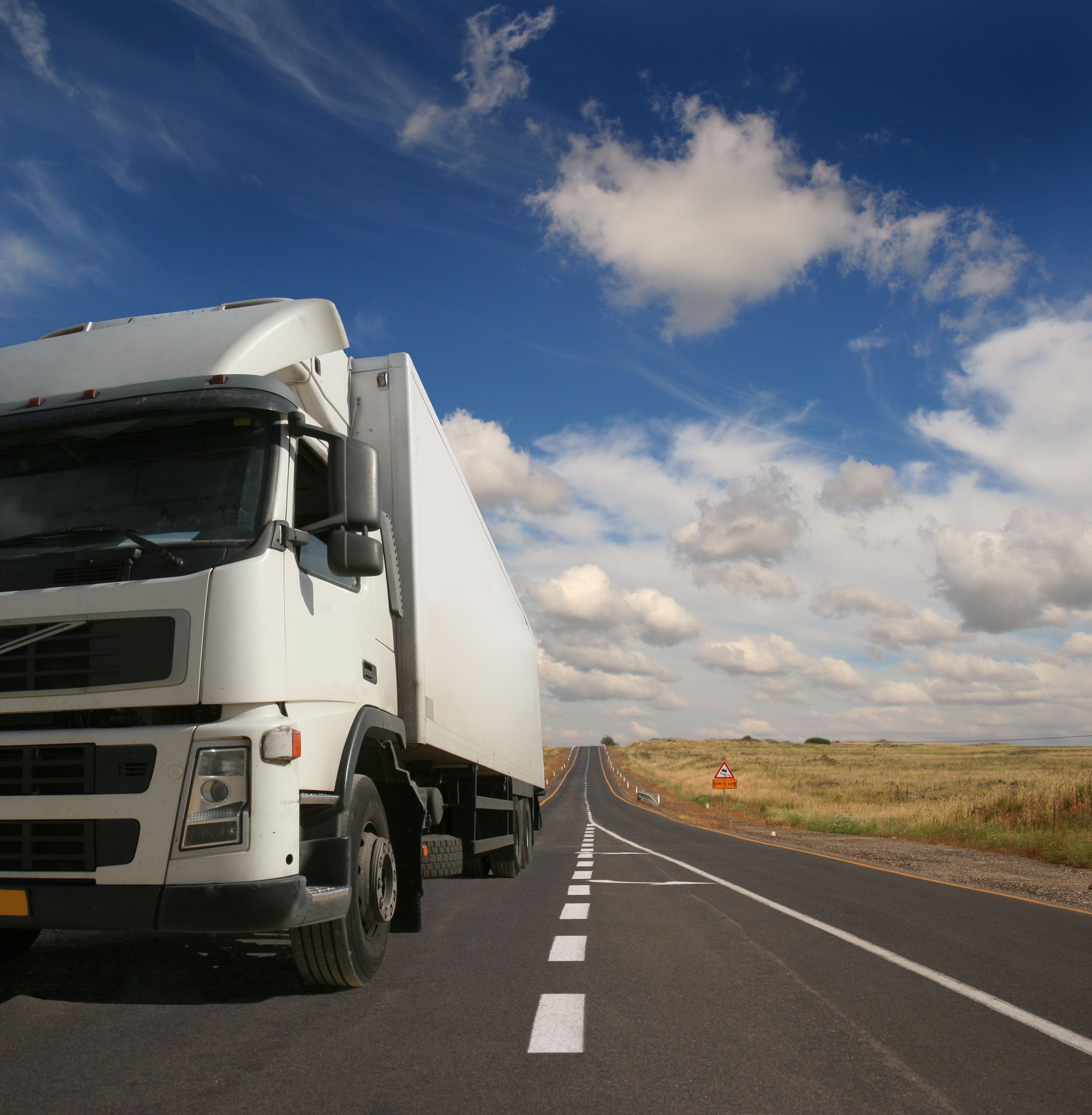 Transporte de plantas: palmeras, drago, etc. (árboles): Servicios de Transportes y Excavaciones Orotrans, S.L. Transporte de plantas: palmeras, drago, etc. (árboles): Servicios de Transportes y Excavaciones Orotrans, S.L.