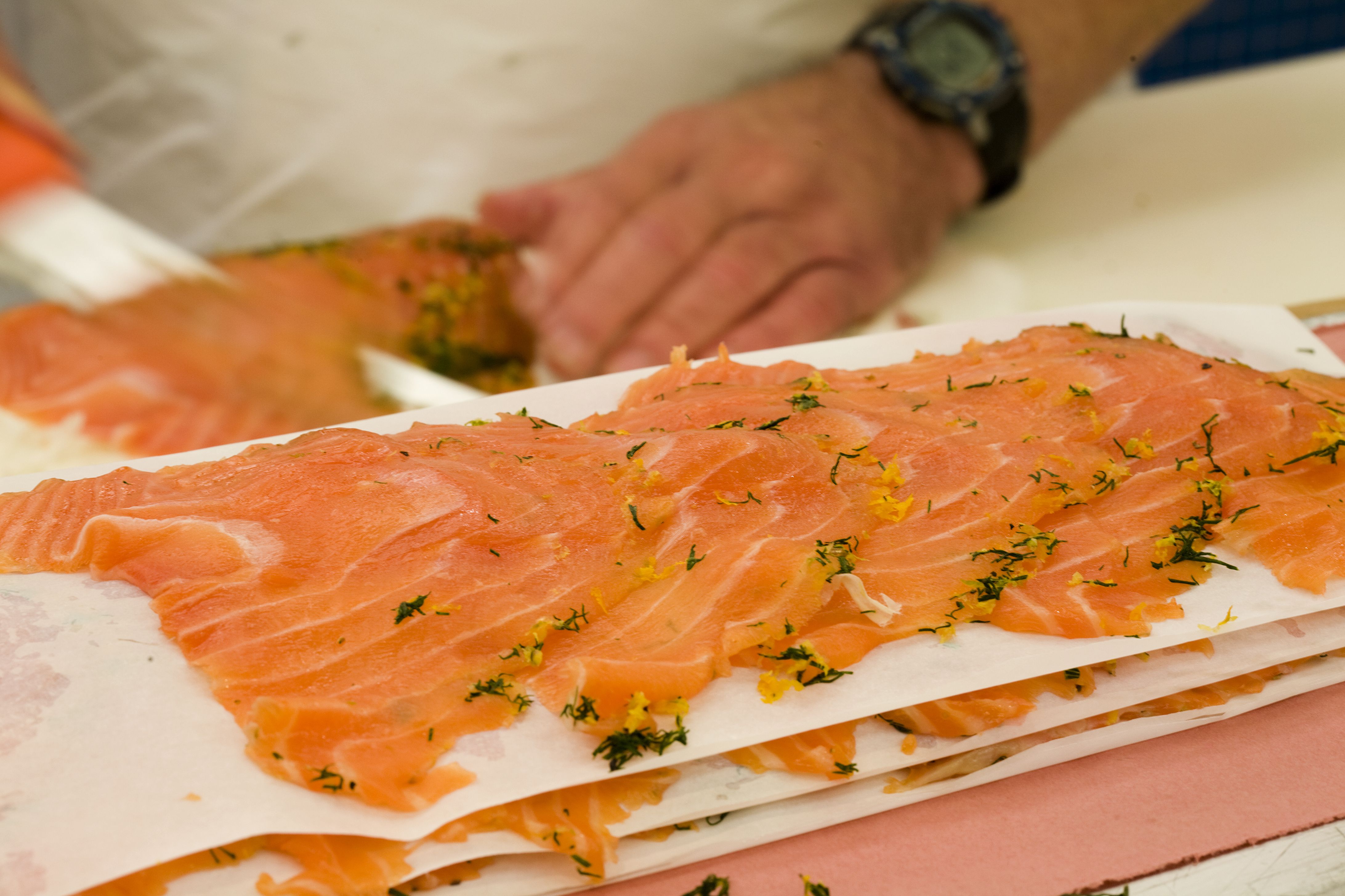 ¿Qué comer?: Nuestros Servicios de Restaurante A Cantina ¿Qué comer?: Nuestros Servicios de Restaurante A Cantina