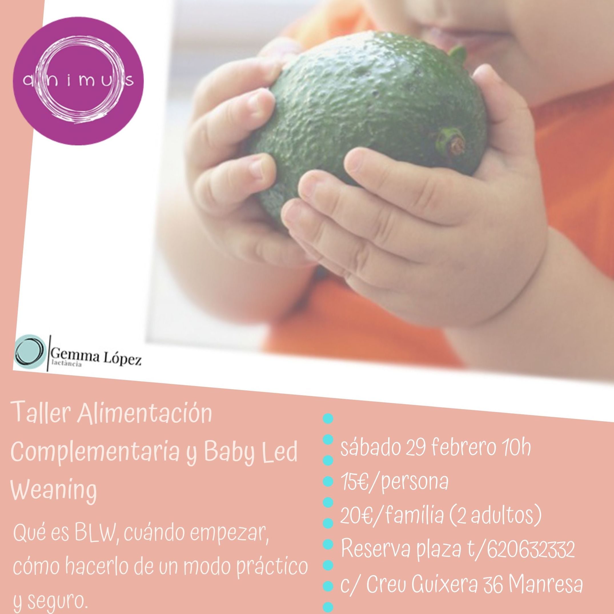 Taller Alimentación Complementaria y BLW: Servicios de Animus Manresa Taller Alimentación Complementaria y BLW: Servicios de Animus Manresa