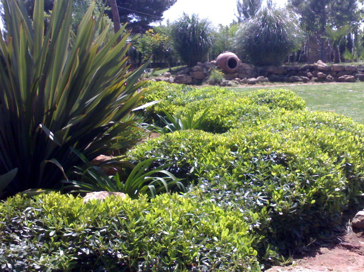 Ver fotos de jardineria 18 Ver fotos de jardineria 50