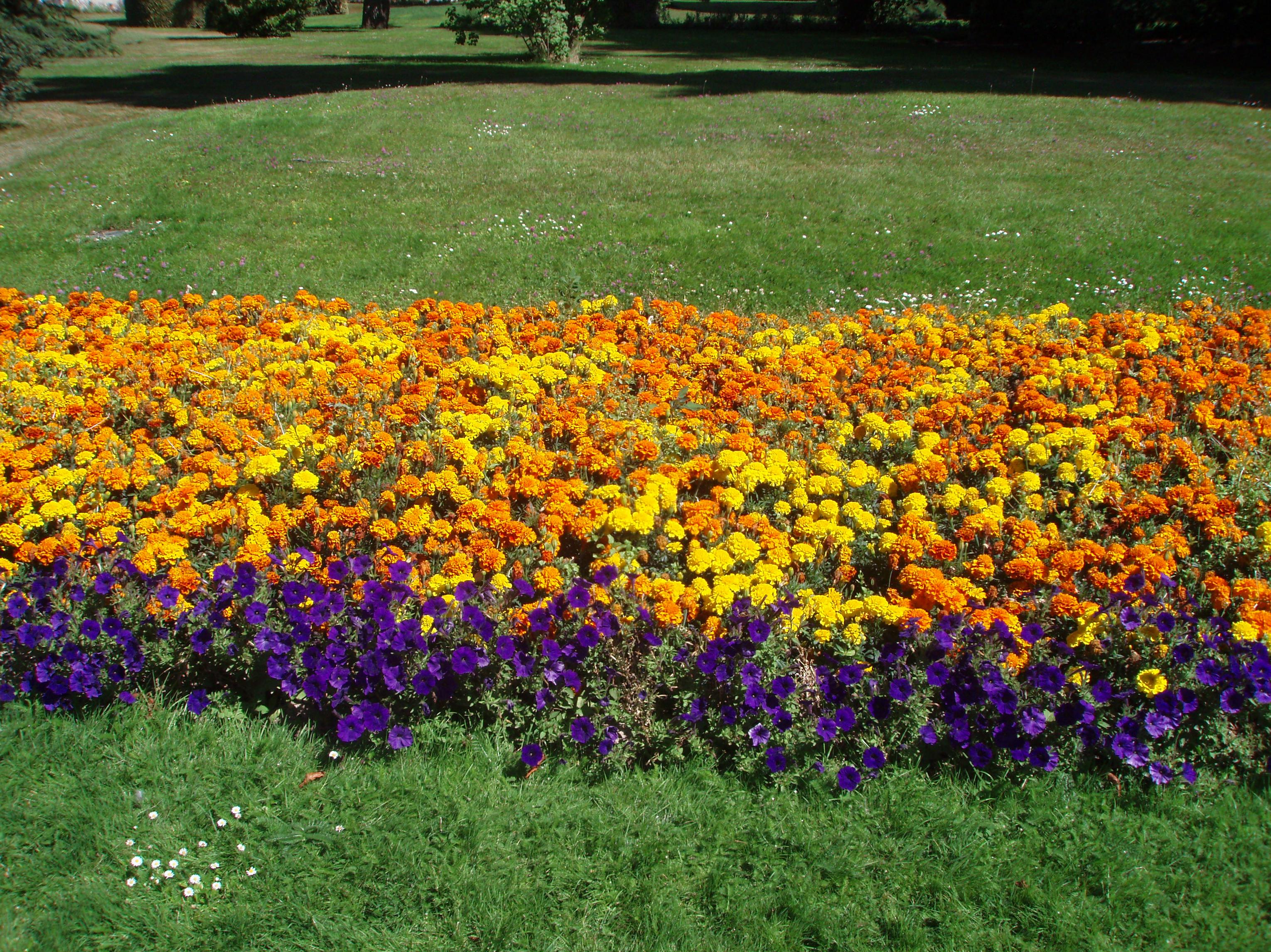 Mantenimiento de jardines: SERVICIOS Y PRODUCTOS de Val Servicios, S.L. Mantenimiento de jardines: SERVICIOS Y PRODUCTOS de Val Servicios, S.L.