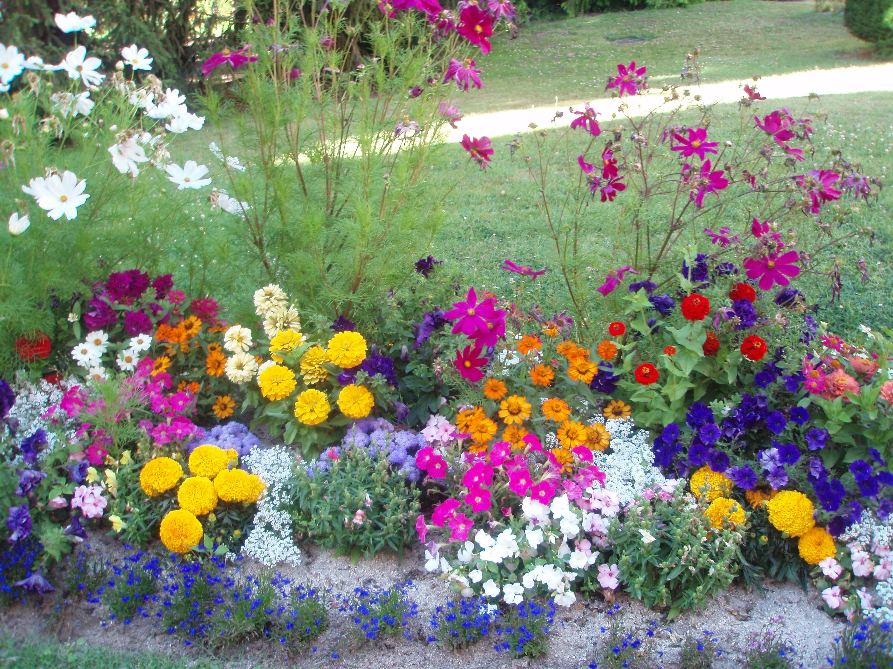 Mantenimiento de jardines: SERVICIOS Y PRODUCTOS de Val Servicios, S.L. Mantenimiento de jardines: SERVICIOS Y PRODUCTOS de Val Servicios, S.L.