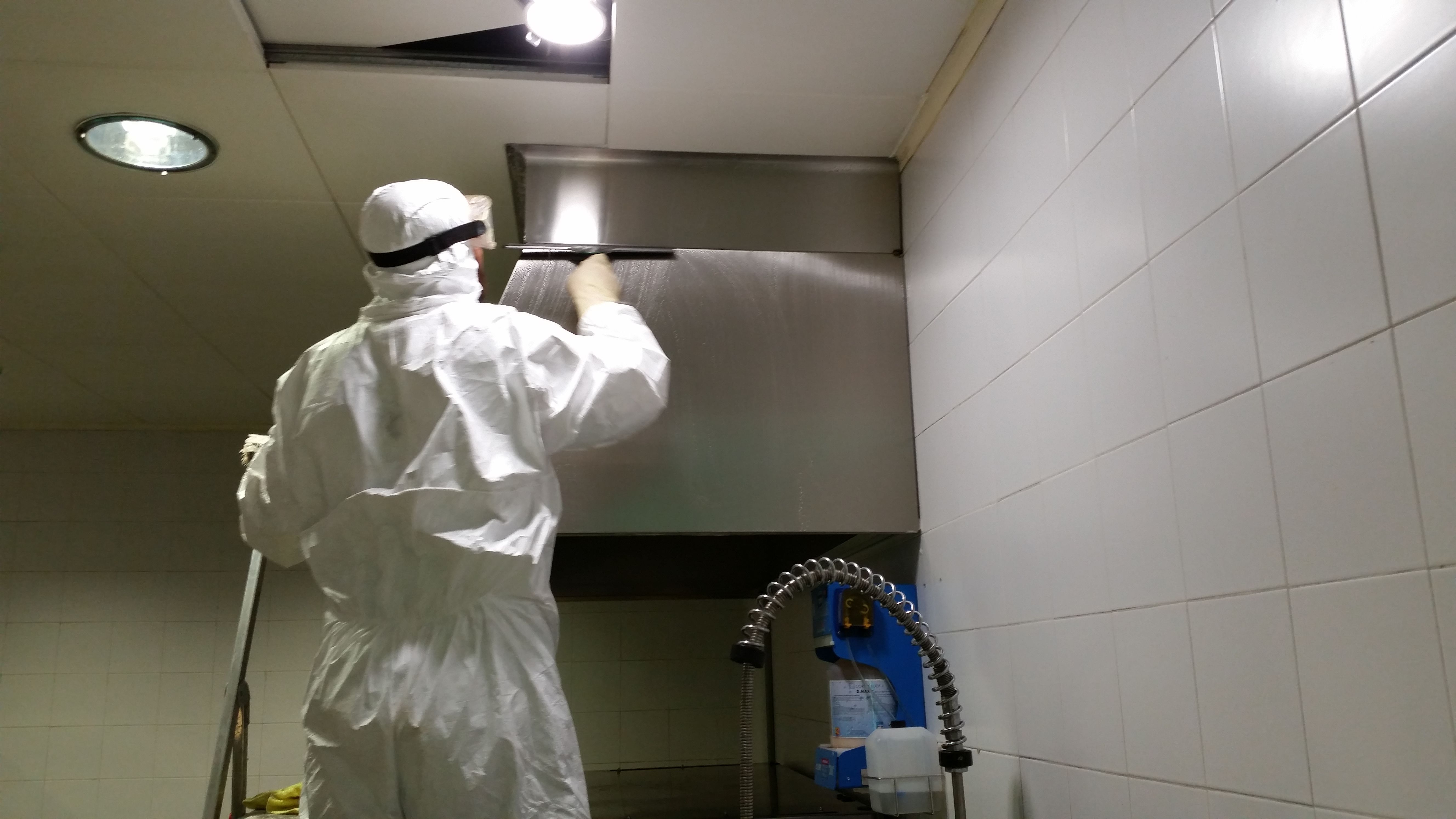 Desinfección: SERVICIOS Y PRODUCTOS de Val Servicios, S.L. Desinfección: SERVICIOS Y PRODUCTOS de Val Servicios, S.L.