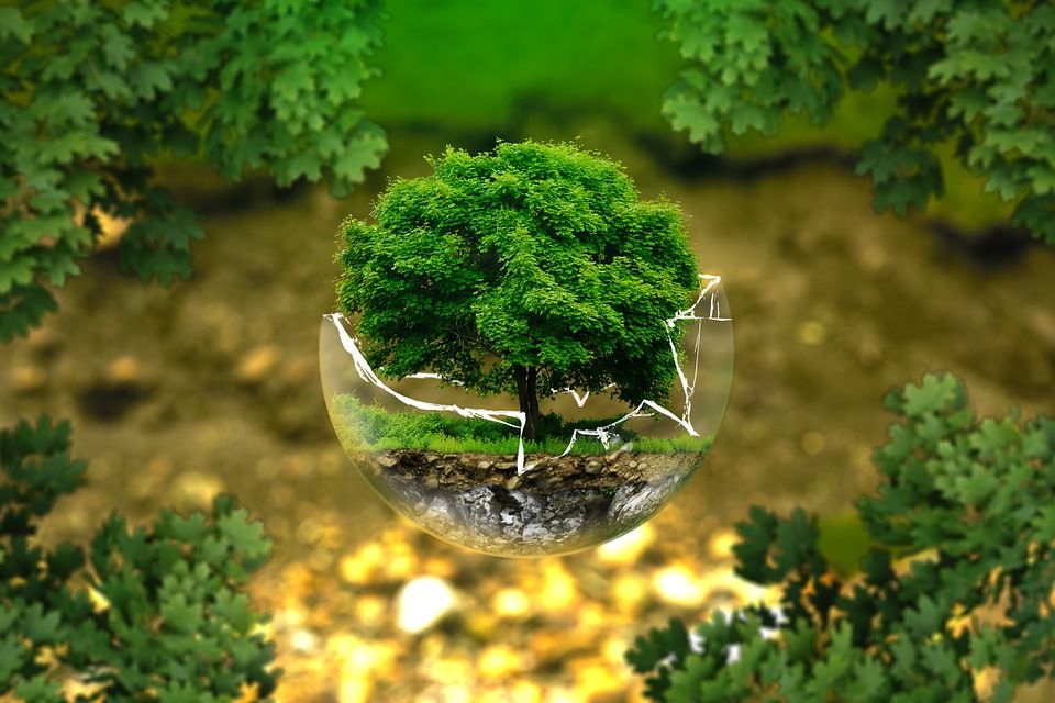 Tratamientos fitosanitarios: Servicios de Plantas Benalla Tratamientos fitosanitarios: Servicios de Plantas Benalla