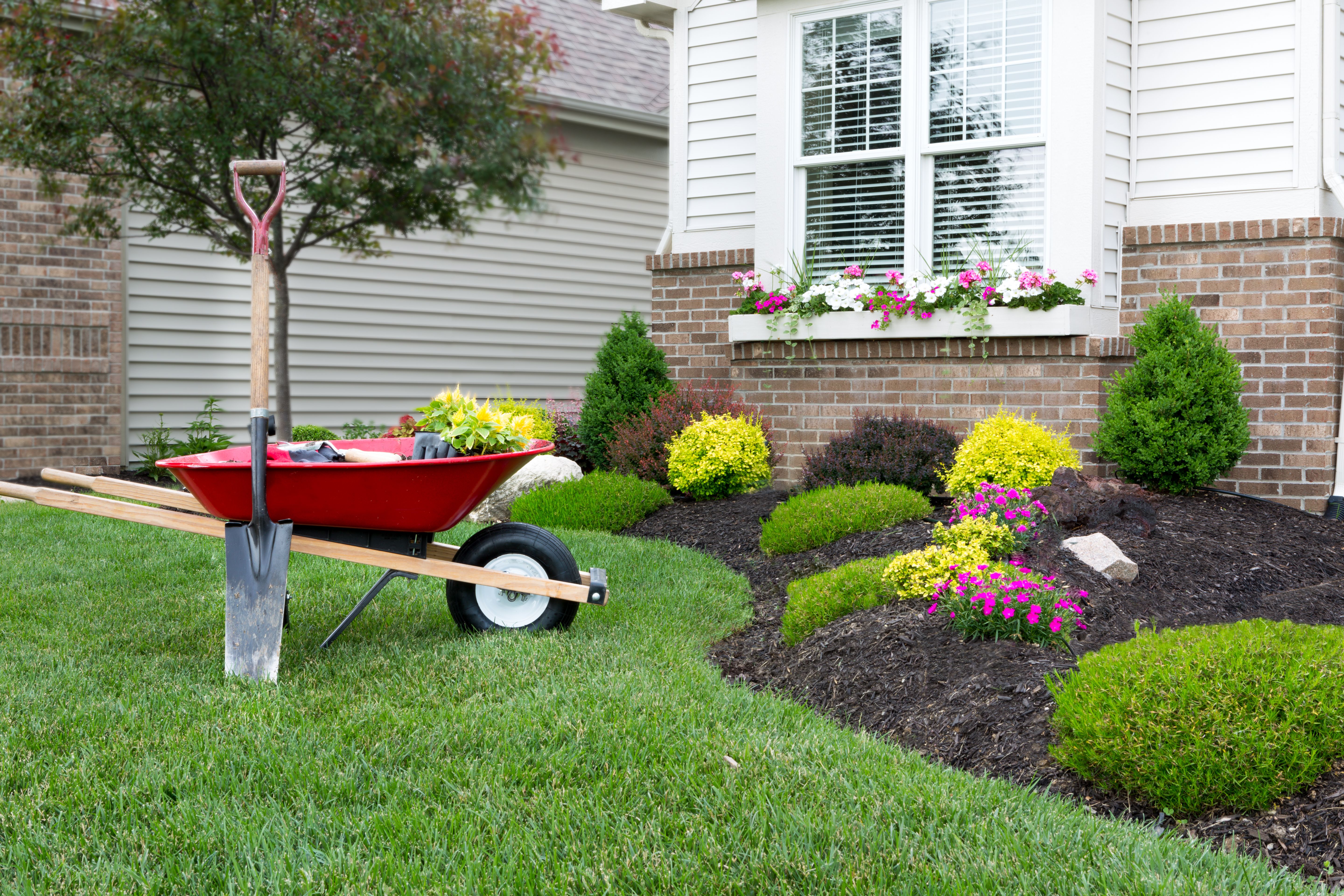 Mantenimiento de jardines: Servicios de Plantas Benalla Mantenimiento de jardines: Servicios de Plantas Benalla