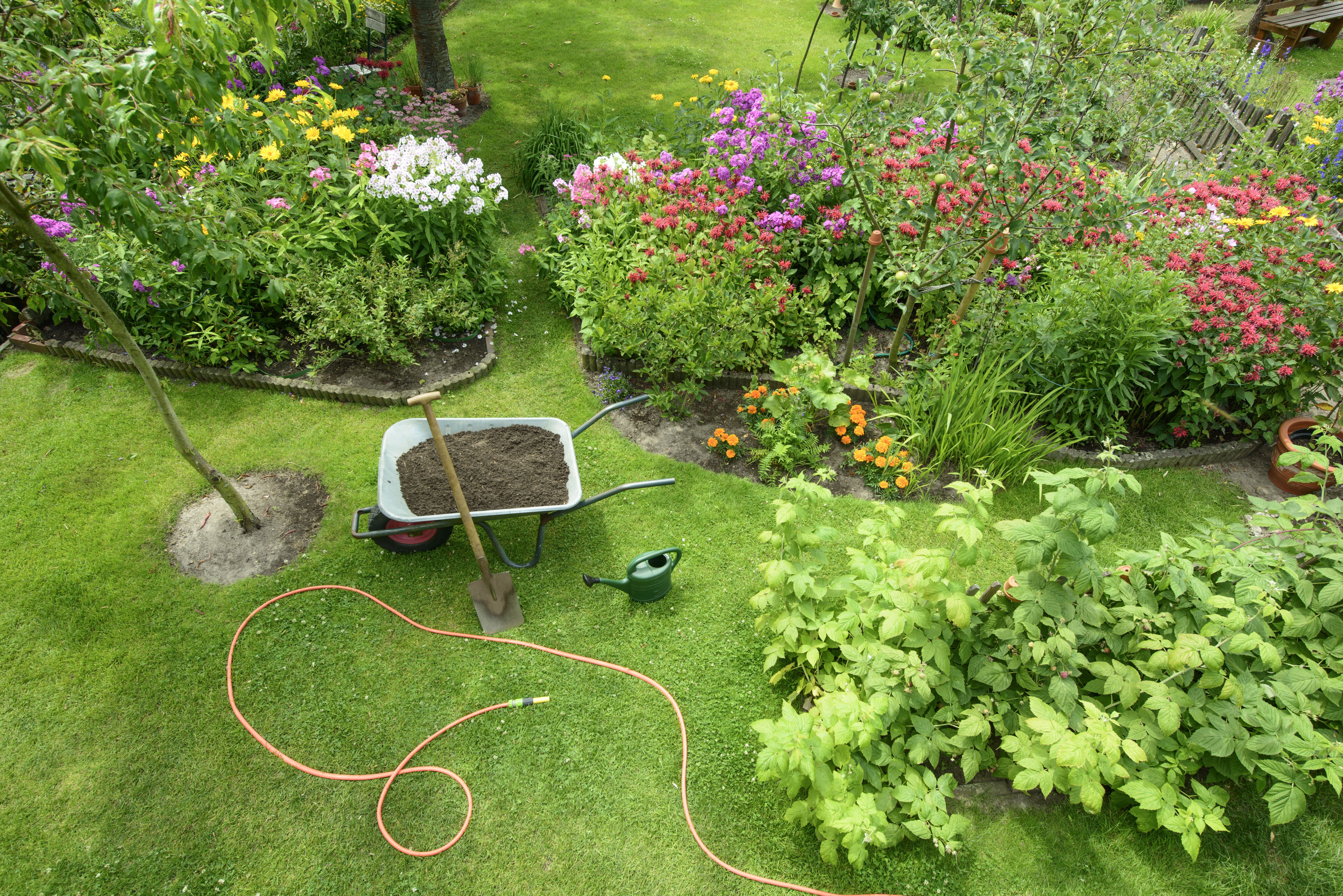 Mantenimiento de jardines: Servicios de Plantas Benalla Mantenimiento de jardines: Servicios de Plantas Benalla