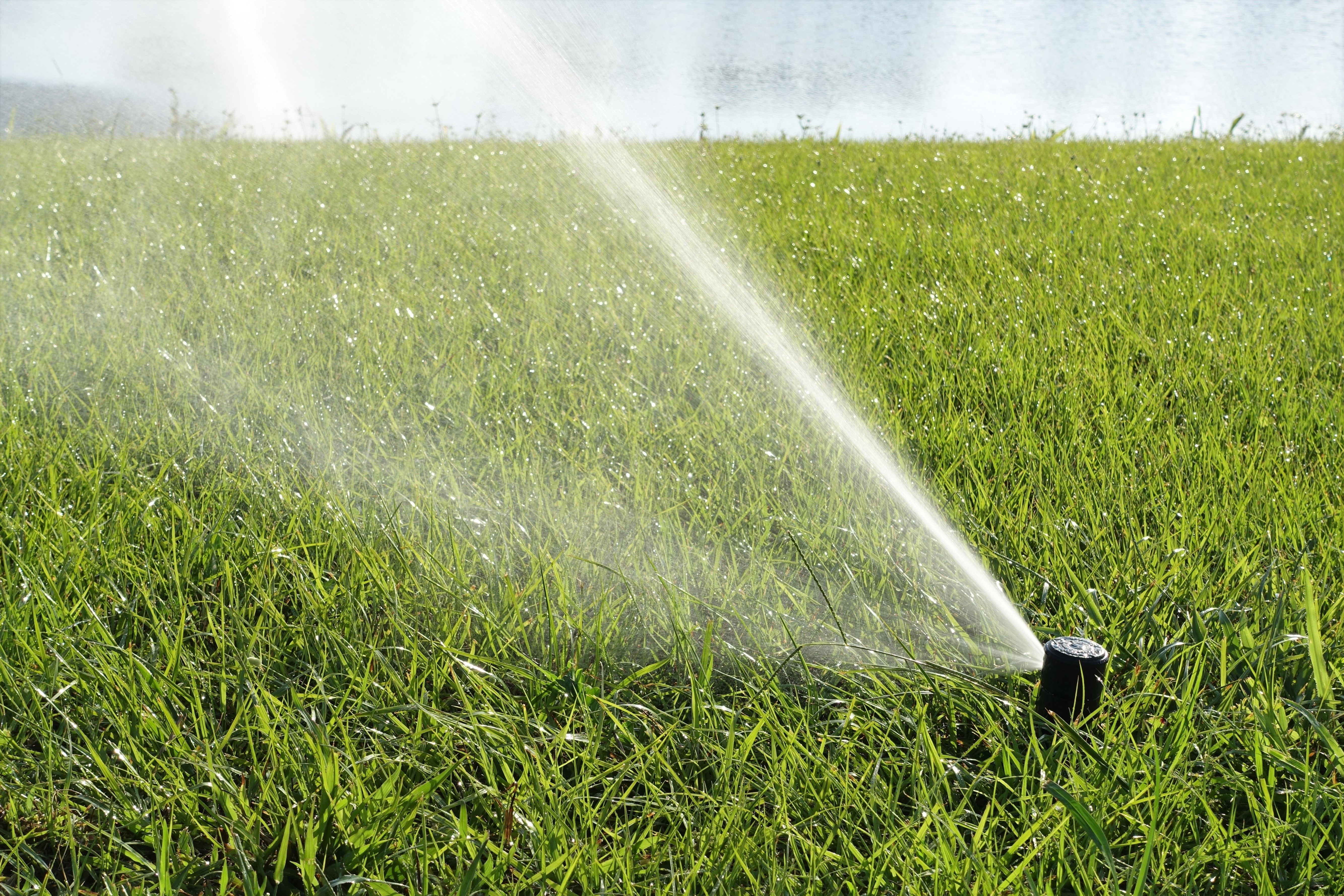 Sistemas de riego: Servicios de Plantas Benalla Sistemas de riego: Servicios de Plantas Benalla