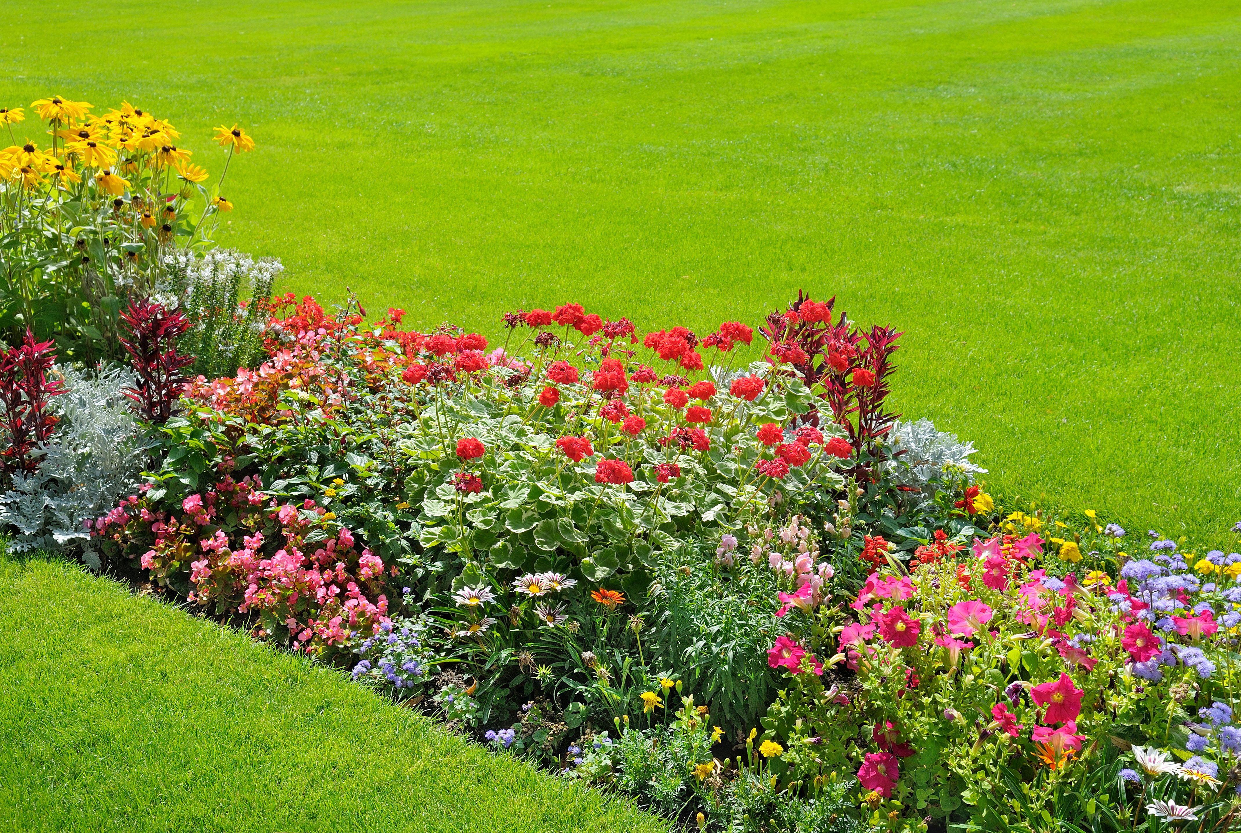 Diseño de jardines: Servicios de Plantas Benalla Diseño de jardines: Servicios de Plantas Benalla