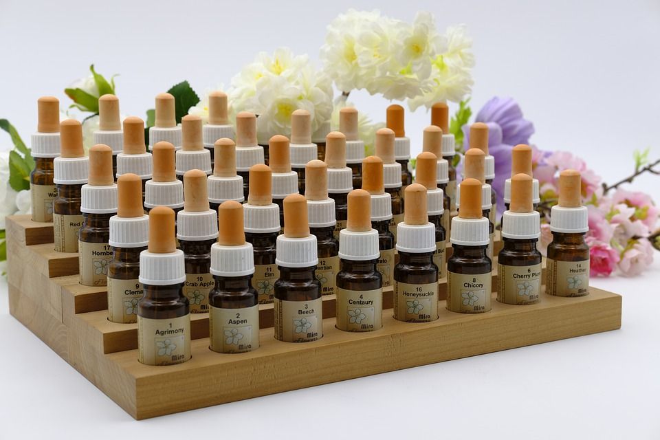 Plantas medicinales: Servicios de Herbolario Hierbabuena Plantas medicinales: Servicios de Herbolario Hierbabuena