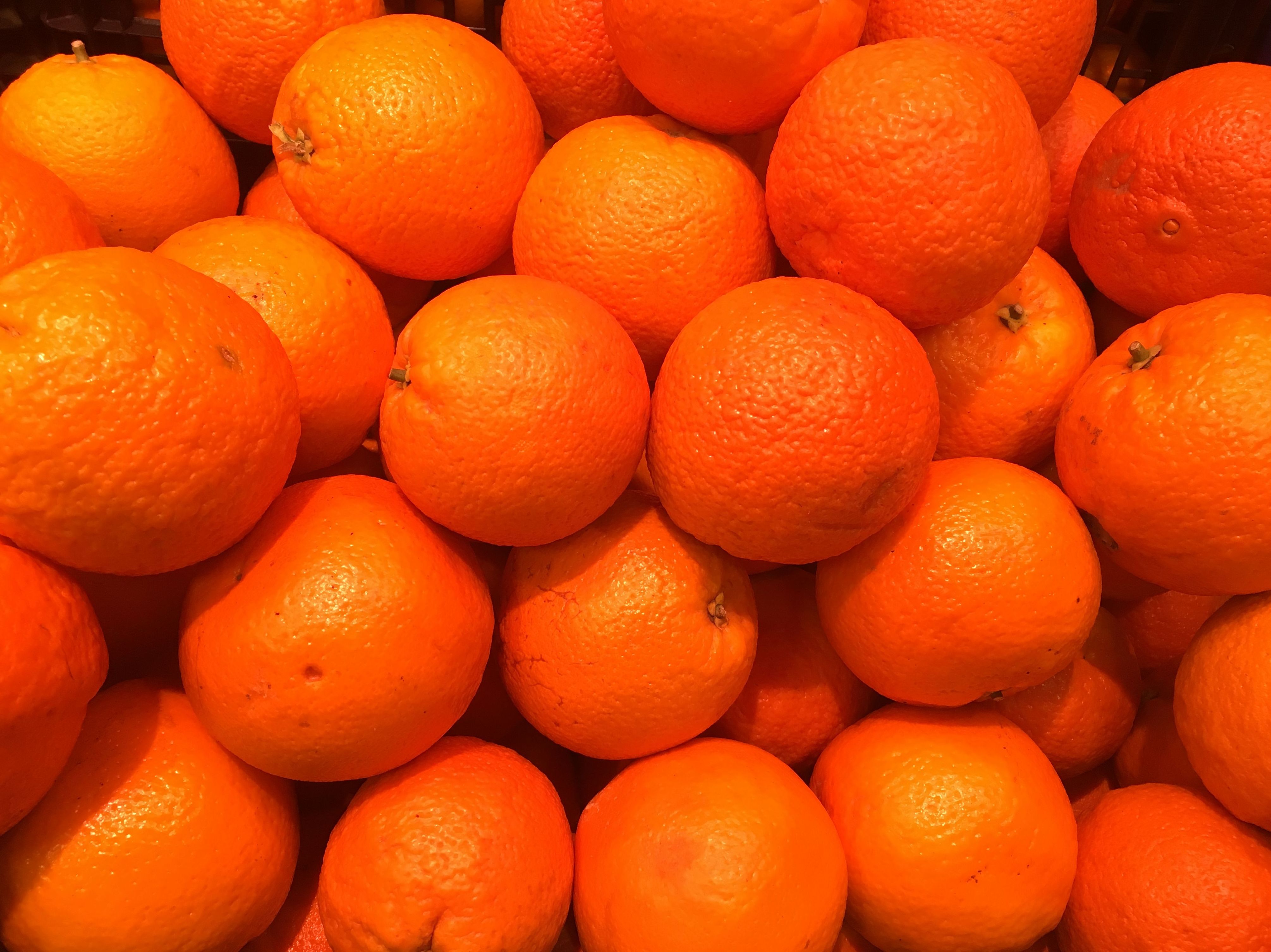 Naranja de zumo Salustiana Naranja de zumo Salustiana