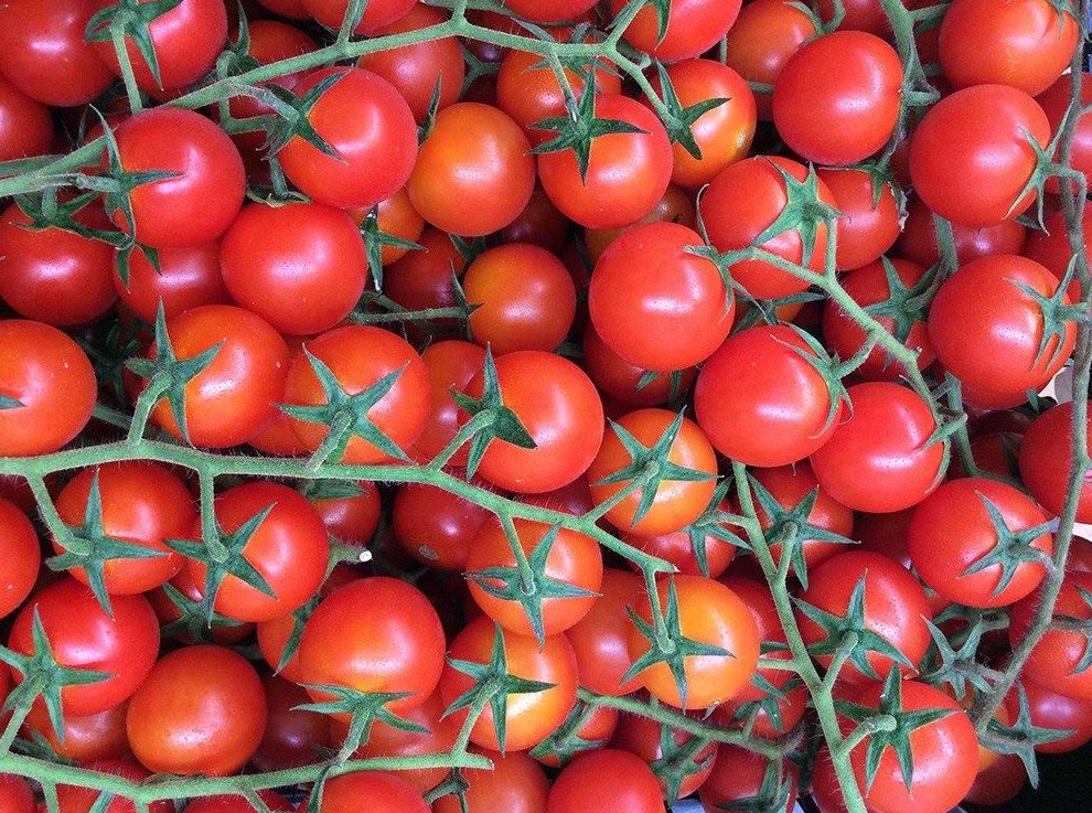 Tomate cherry: Catálogo de FRUTAS PAULA Tomate cherry: Catálogo de FRUTAS PAULA